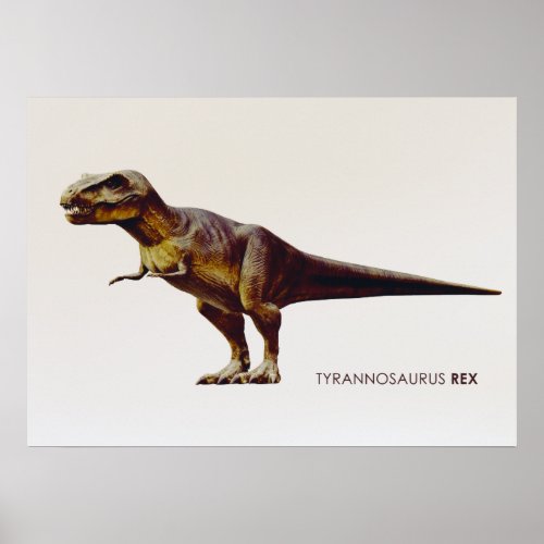 Tyrannosaurus Rex Poster
