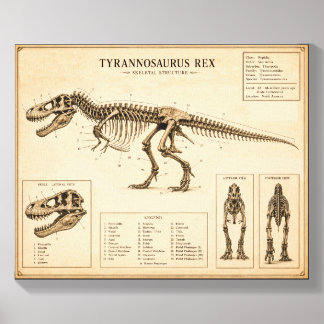 Tyrannosaurus Rex Skeleton Canvas Photo Tile