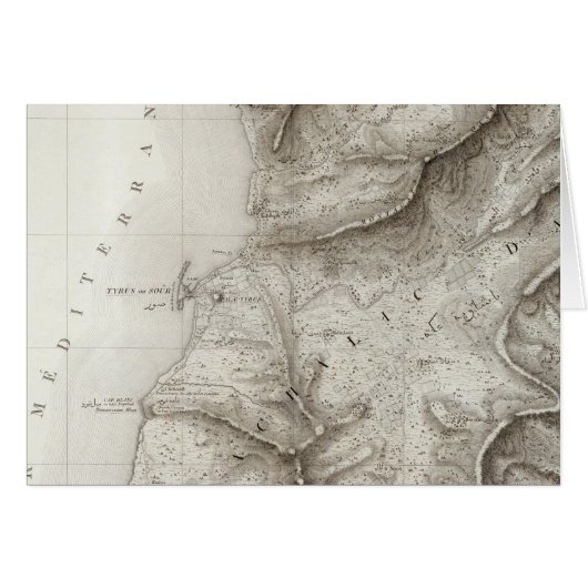 Tyre, Sidon, Israel (Front Horizontal)