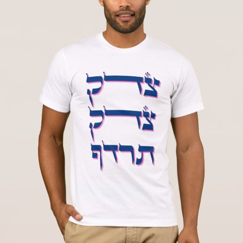 Tzedek Tzedek Tirdof _ Pursue Justice T_Shirt