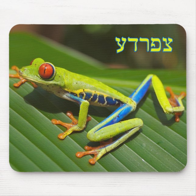 Tzefardea In Hebrew Meaning "Frog" Mouse Pad (Front)
