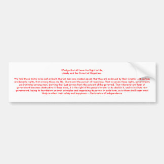 !!! U Create Declaration of Independence Bumper Sticker