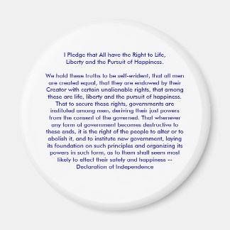 !!! U Create Declaration of Independence Magnet
