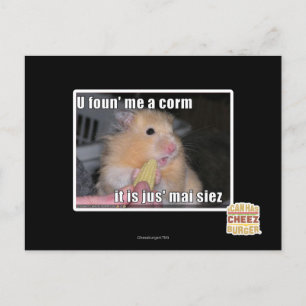U found in corn postcard