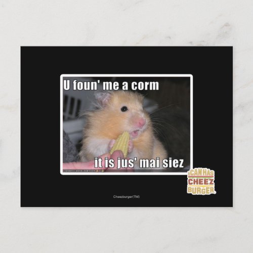 U found in corn postcard