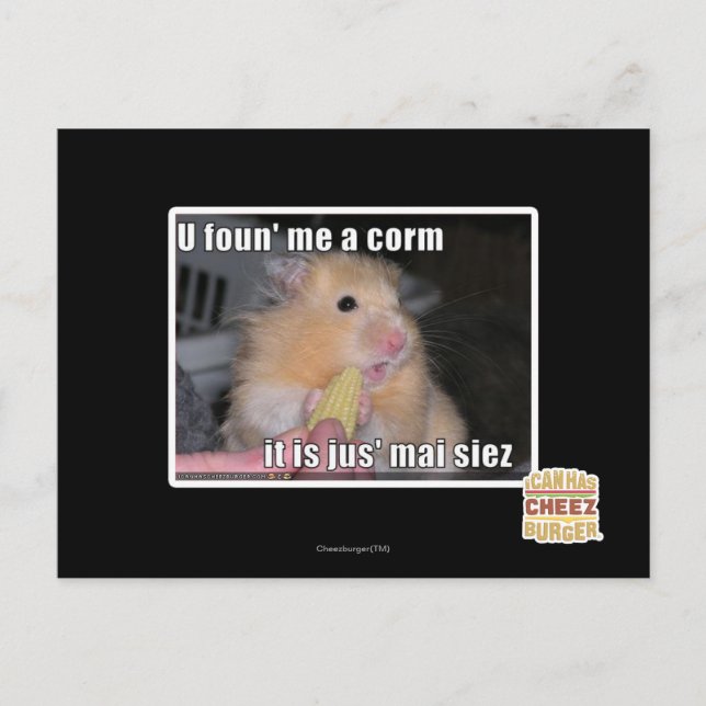 U found in corn postcard (Front)