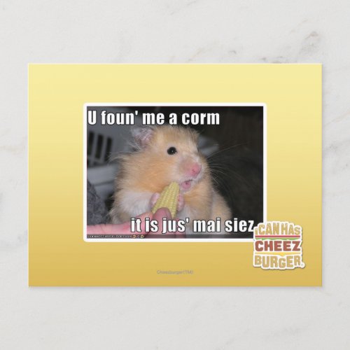 U found me a corn postcard