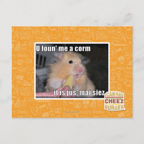 U found me a corn postcard