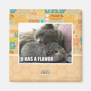 U HAS A FLAVOR MAGNET