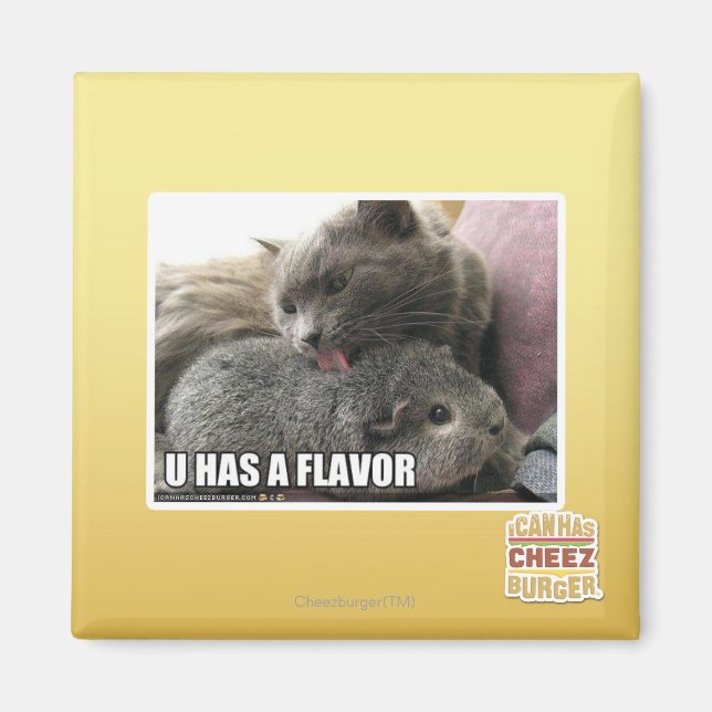 U HAS A FLAVOR MAGNET (Front)