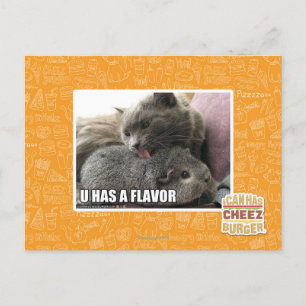 U HAS A FLAVOR POSTCARD