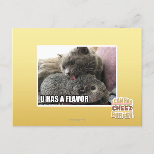 U HAS A FLAVOR POSTCARD