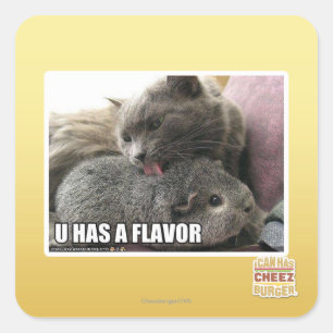 U HAS A FLAVOR SQUARE STICKER
