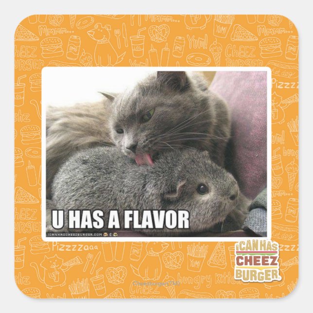 U HAS A FLAVOR SQUARE STICKER (Front)