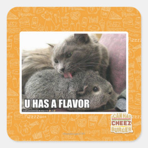 U HAS A FLAVOR SQUARE STICKER