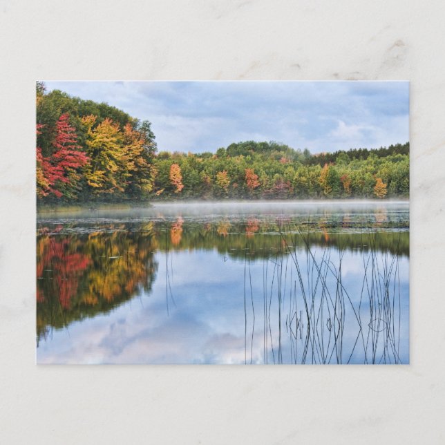 U. P. Michigan Fall Reflections Postcard (Front)