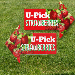 U-pick Strawberries Arrow Shaped Sign
