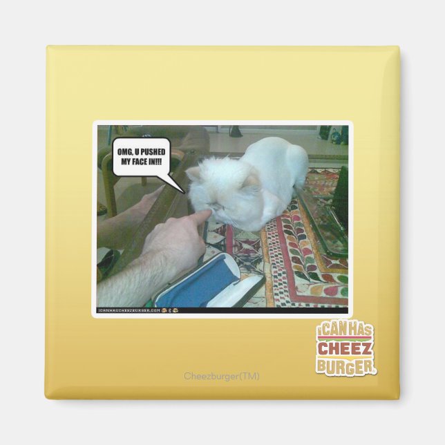 U pushed my face in! magnet (Front)