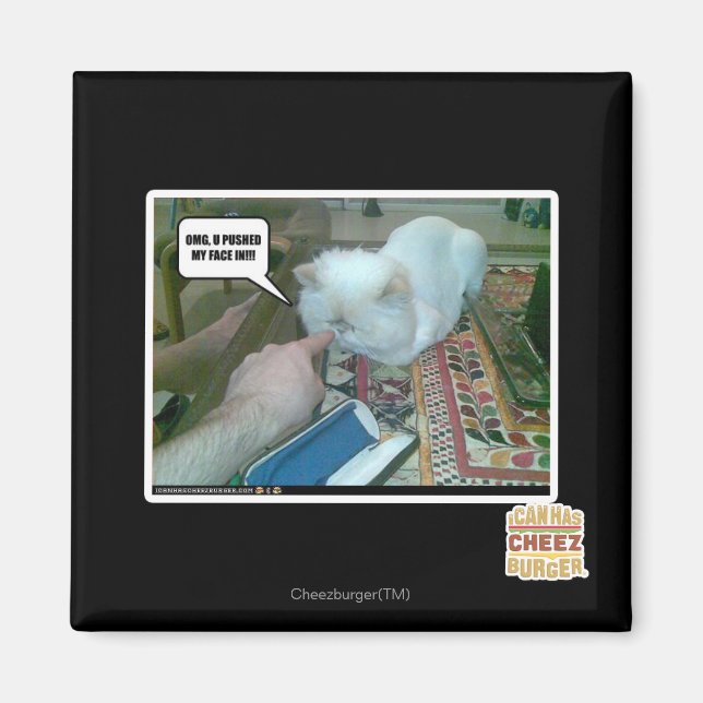 U pushed my face in! magnet (Front)