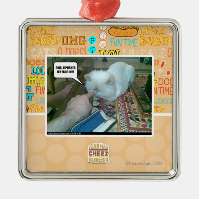 U pushed my face in! metal ornament (Front)