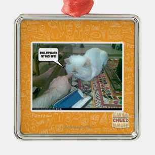 U pushed my face in! metal ornament