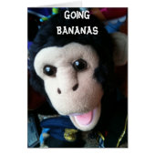 U R "40" - GOING BANANAS (Front)