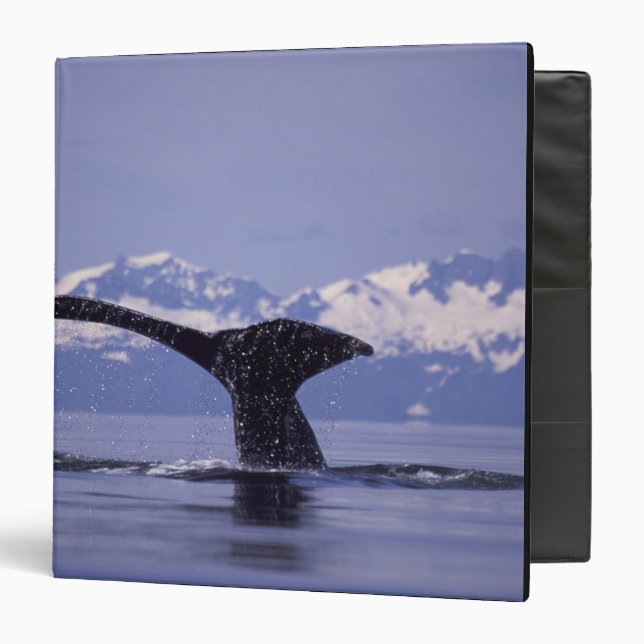 U.S.A., Alaska, Inside Passage Humpback whale Binder (Front/Inside)