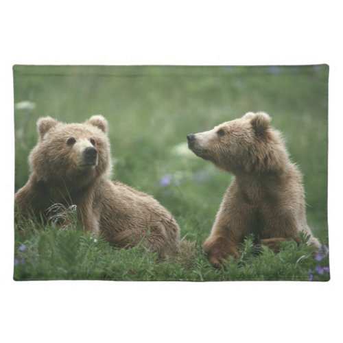 USA Alaska Kodiak Two sub_adult brown bears Cloth Placemat