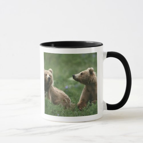 USA Alaska Kodiak Two sub_adult brown bears Mug
