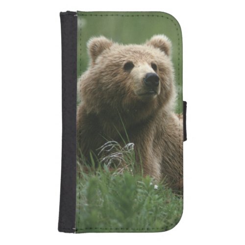 USA Alaska Kodiak Two sub_adult brown bears Samsung S4 Wallet Case
