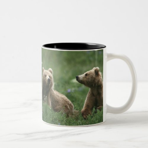 USA Alaska Kodiak Two sub_adult brown bears Two_Tone Coffee Mug