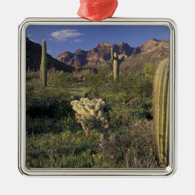 U.S.A., Arizona, Organ Pipe National Monument. Metal Ornament (Front)