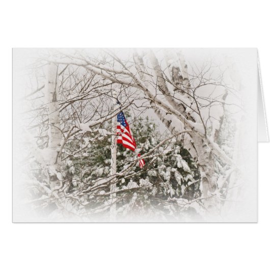 U.S.A. Flag Scene Cards (Front Horizontal)