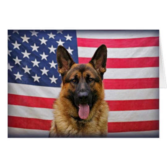 U.S.A. German Shepherd Card