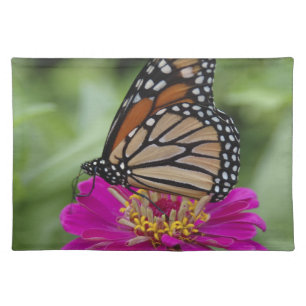 U.S.A., Massachusetts, Boylston, Tower Hill Cloth Placemat