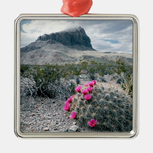 U.S.A., Texas, Big Bend National Park. Blooming Metal Ornament (Front)
