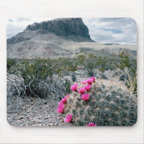 USA Texas Big Bend National Park Blooming Mouse Pad