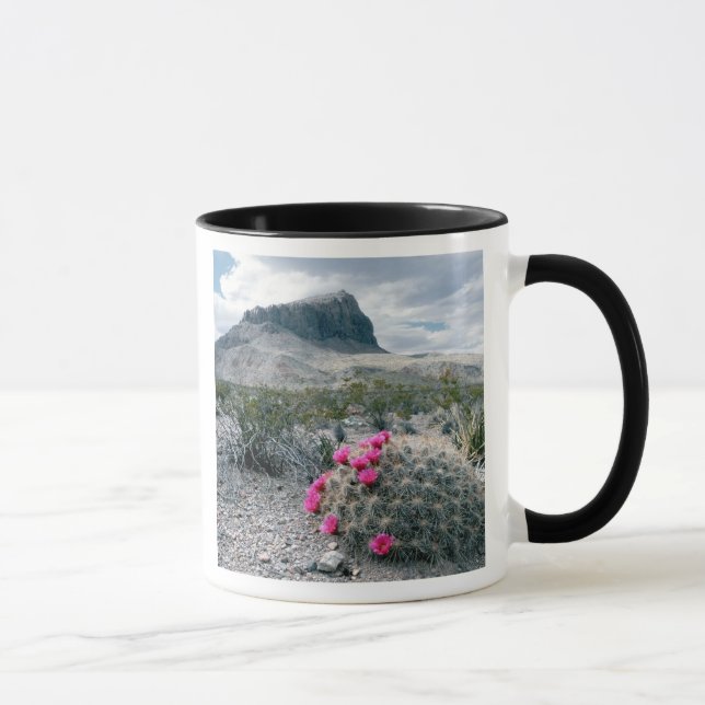 U.S.A., Texas, Big Bend National Park. Blooming Mug (Right)