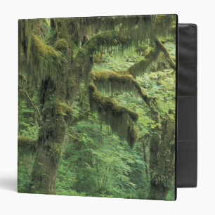 U.S.A., Washington, Olympic National Park. Binder