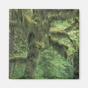 U.S.A., Washington, Olympic National Park. Magnet