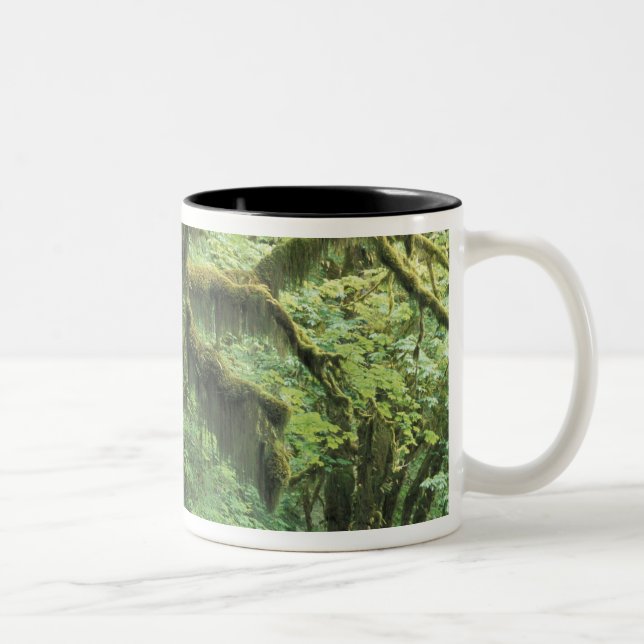 U.S.A., Washington, Olympic National Park. Two-Tone Coffee Mug (Right)
