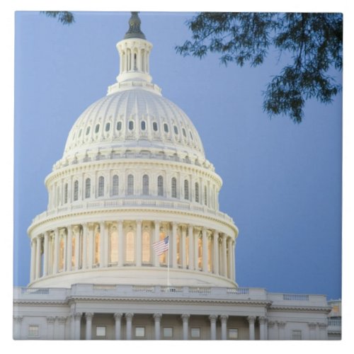 US Capitol at dusk Washington DC District Tile