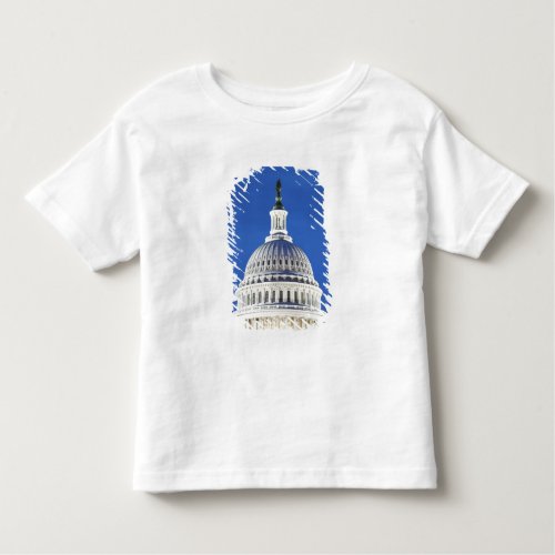 US Capitol dome Toddler T_shirt