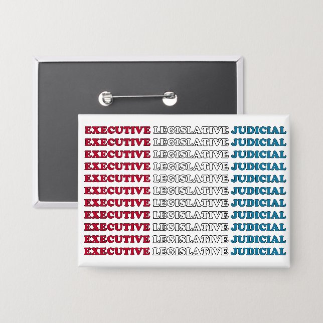 U.S. Checks & Balances Button (Front/Back)