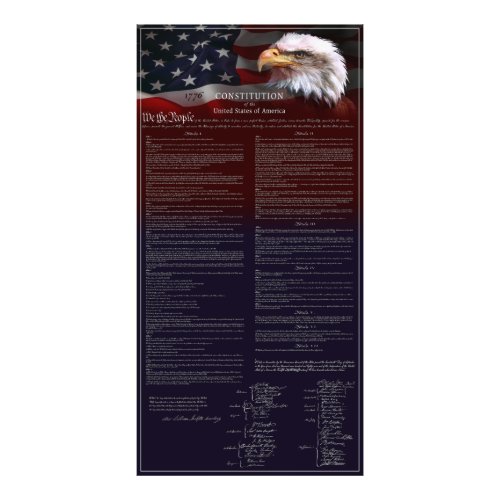 US CONSTITUTION White Pinline Border Photo Print