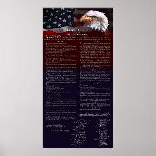 US CONSTITUTION White Pinline Border Poster