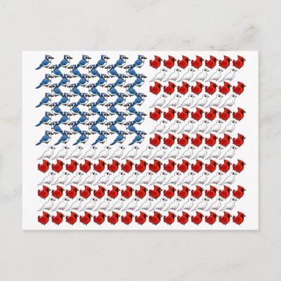 U.S. Flag of Birds Postcard
