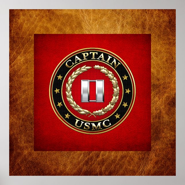 U.S. Marines: Captain (USMC Capt) [3D] Poster (Front)