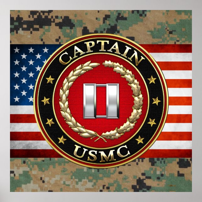 U.S. Marines: Captain (USMC Capt) [3D] Poster (Front)