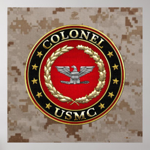 U.S. Marines: Colonel (USMC Col) [3D] Poster